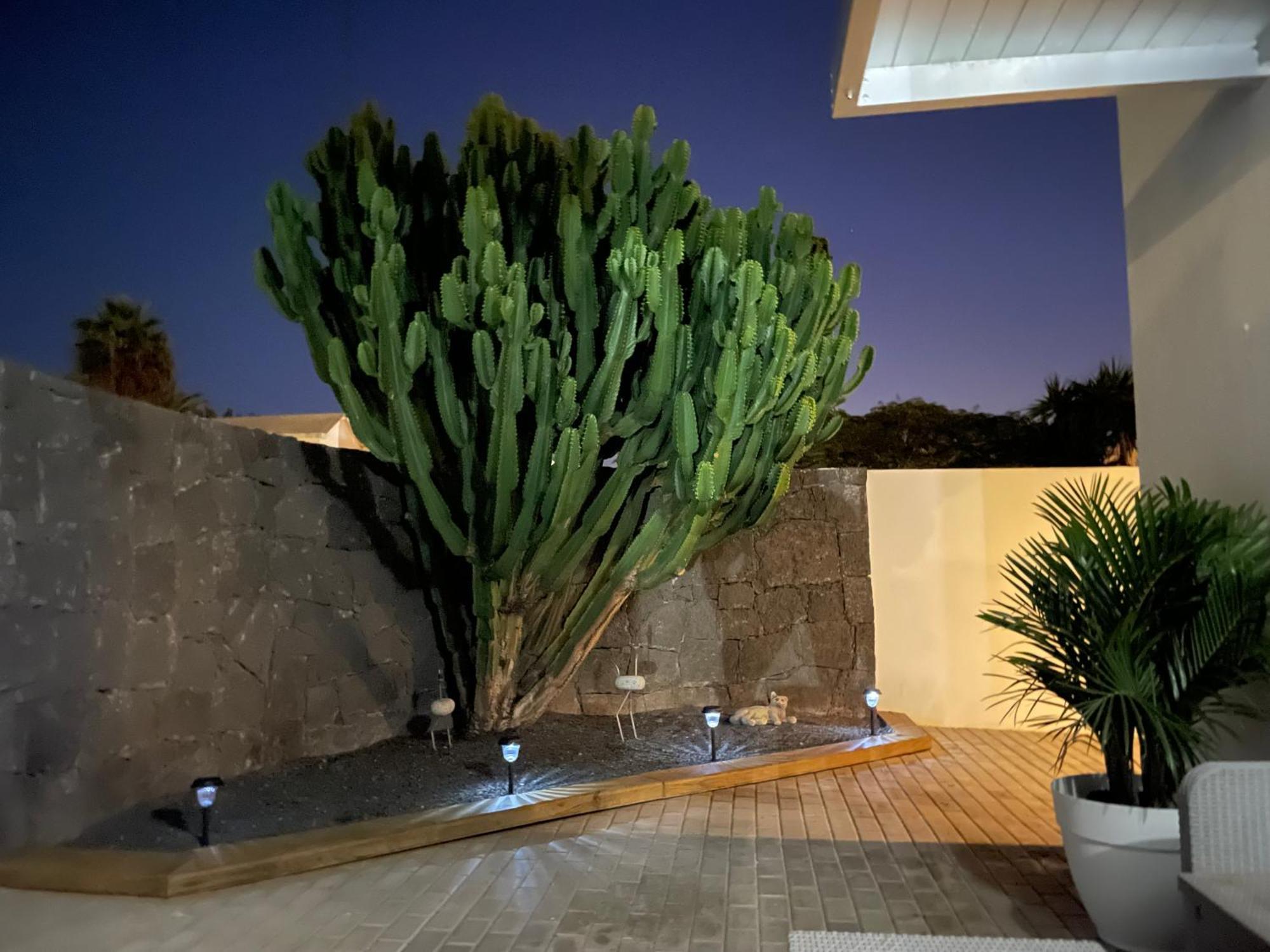 Villa Grey By Vulcano Homes Tahiche Eksteriør billede